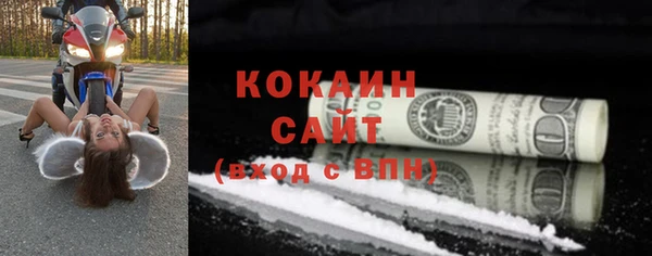 СК Алексин