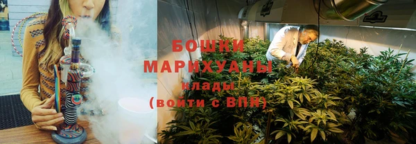 сатива Протвино