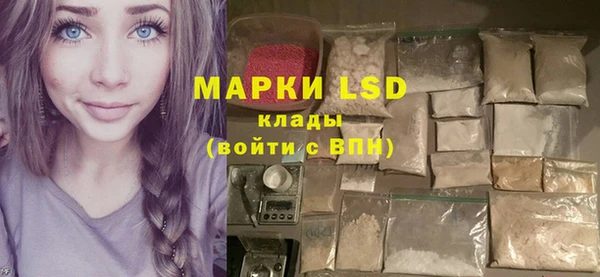 ПСИЛОЦИБИНОВЫЕ ГРИБЫ Алзамай