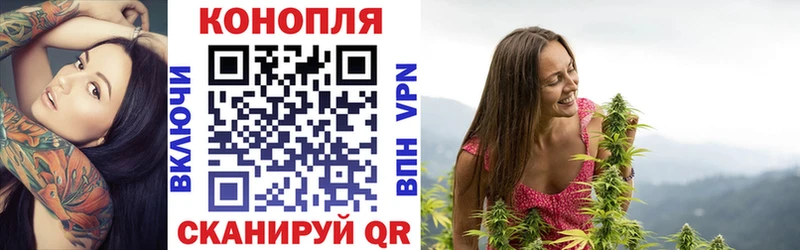 где купить наркотик Болотное Бошки марихуана конопля